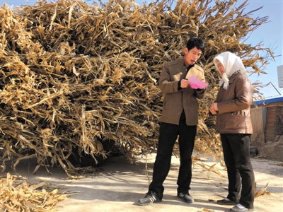加大宣傳力度 禁止秸稈焚燒