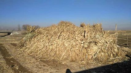 秸稈生物反應堆驗收