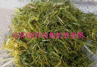 【漯河秸稈青儲(chǔ)機(jī)新品上市/行走式秸稈青儲(chǔ)機(jī)效果圖】價(jià)格_廠家_圖片 -