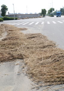 秸稈又上路