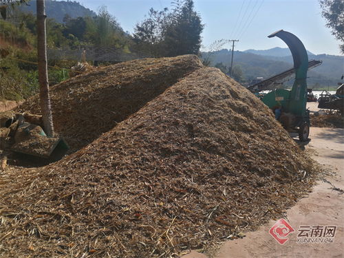 云南江城 農作物秸稈綜合利用率達90 以上