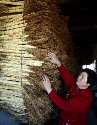組圖:內(nèi)蒙古農(nóng)家女編織秸稈致富