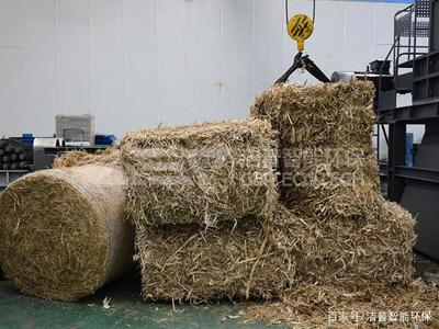 深挖生物質(zhì)發(fā)電潛能,守護(hù)綠水青山