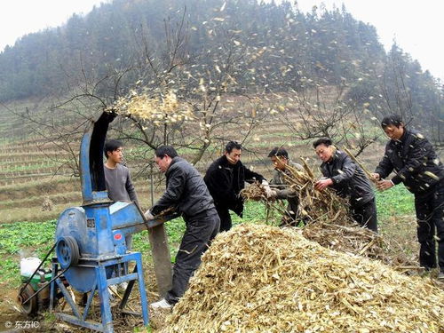 專家建議 秸稈還田 ,禁燒秸桿后農(nóng)民的實(shí)在話,你怎么看